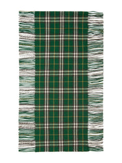 Burberry Scarfs Green